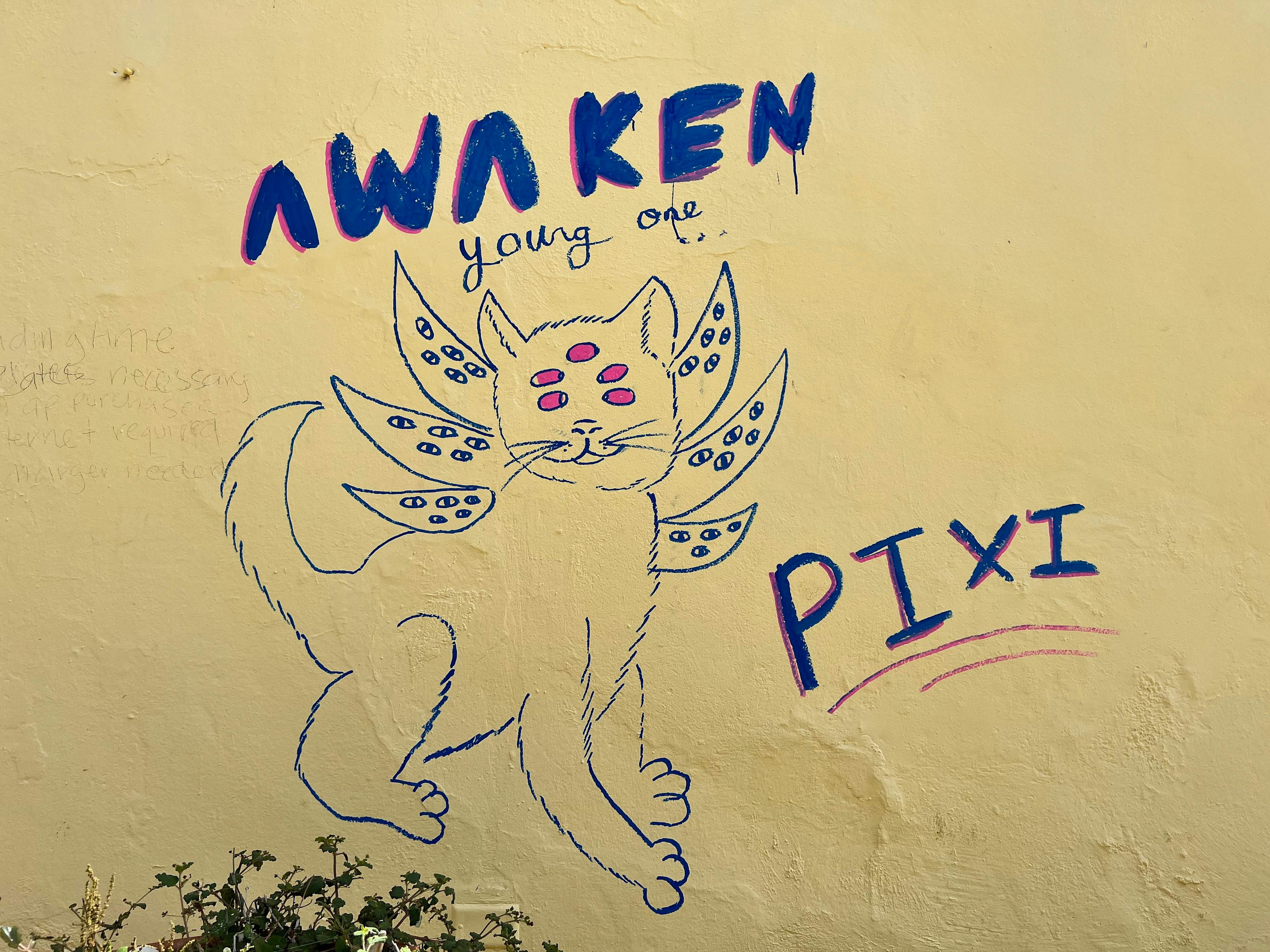 cat graffiti